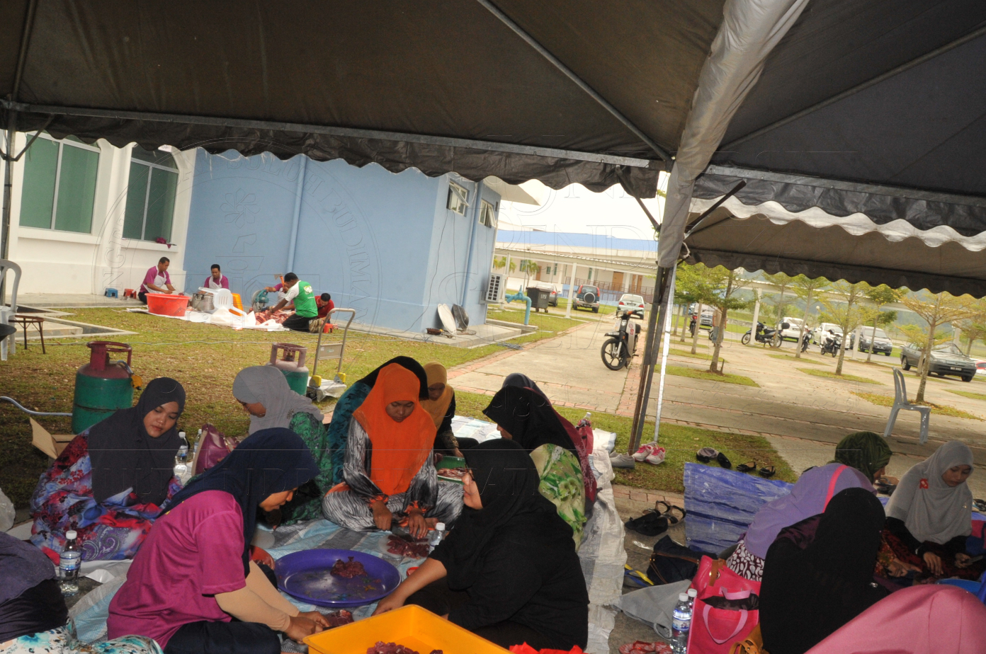 PRO15 150 KORBAN HAS 6952